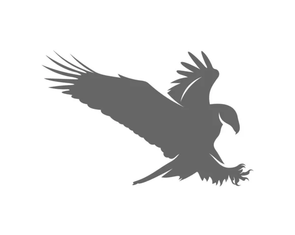 Modèle Vectoriel Conception Logo Aigle — Image vectorielle