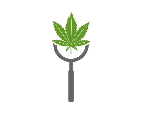 Cannabis Search Logo Design Vector Template Creative Cannabis White Background — Vetor de Stock
