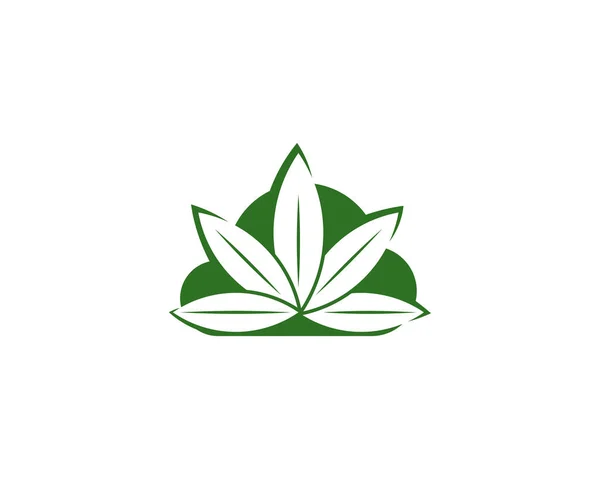 Cannabis Cloud Logo Design Vector Template Creative Cannabis White Background — Wektor stockowy
