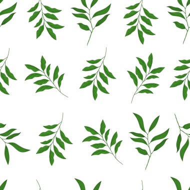 Yaprakların yeşil dalları. Beyaz arkaplanda pürüzsüz desen.
