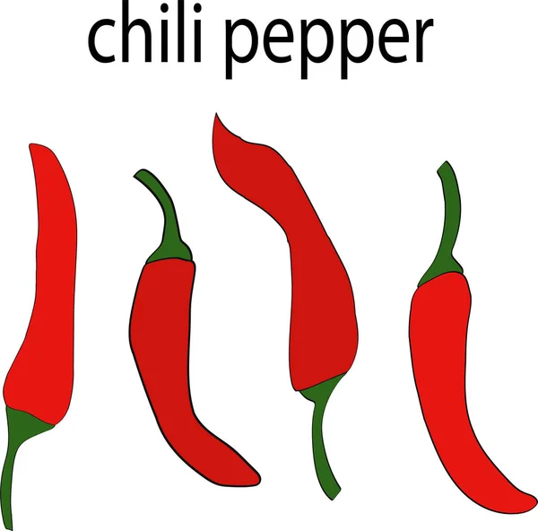 Rode Chili Pepers Witte Achtergrond — Stockvector