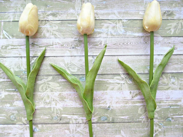 Três Tulipas Brancas Fundo Das Tábuas — Fotografia de Stock