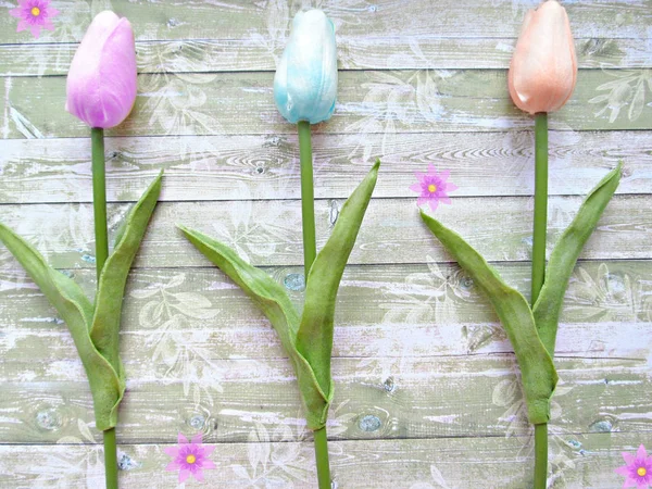 アイボリーチューリップ色板を背景にした花 — ストック写真