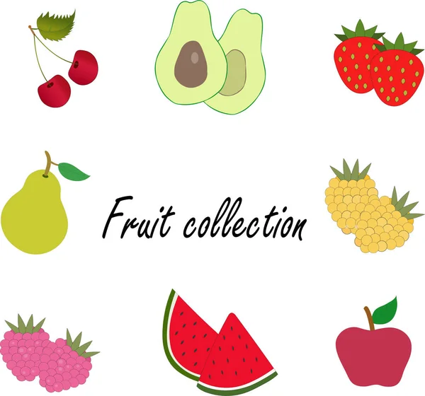 Verschiedene Früchte Auf Weißem Hintergrund — Stockvektor