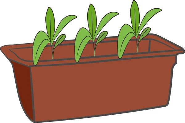 Pequenos Brotos Uma Panela Longa Conjunto Mudas Estão Crescendo Jardinagem — Vetor de Stock