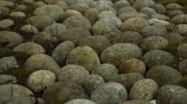 oval taşlar nehir yatağında yatıyor.