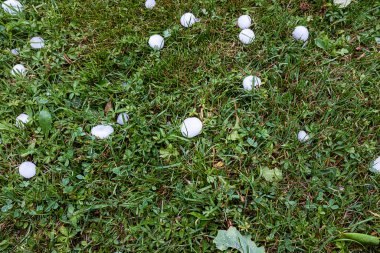 Çimlerin üzerinde büyük dolu taşları