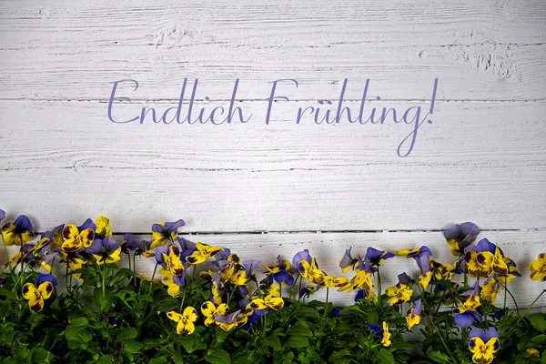 德文的Endlich Fruehling，英文的Endlich Fruehling，终于春天了，黄色和紫色的角紫罗兰映衬着白色的木制背景 — 图库照片