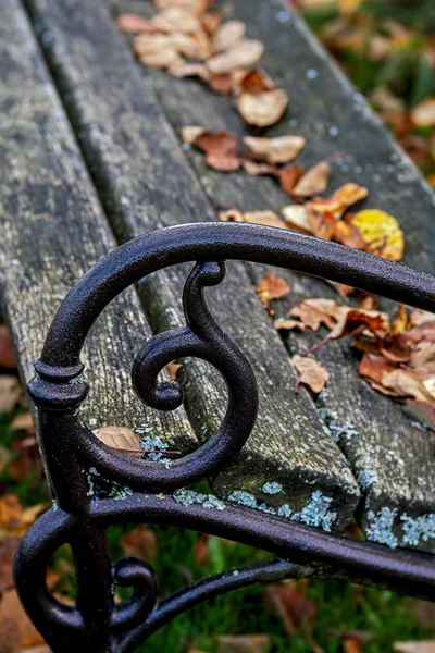 Parkbänk, närbild av armstödet, löv på sätet — Stockfoto