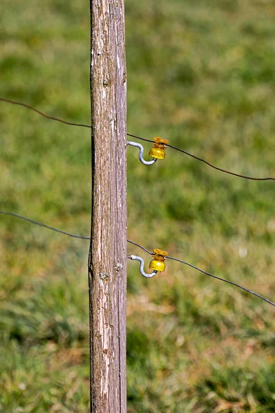 Gros Plan Une Clôture Électrique Autour Pâturage — Photo