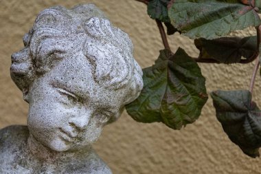 Bulanık bir arkaplanda güzel bir kadının heykelinin yakın plan fotoğrafı.