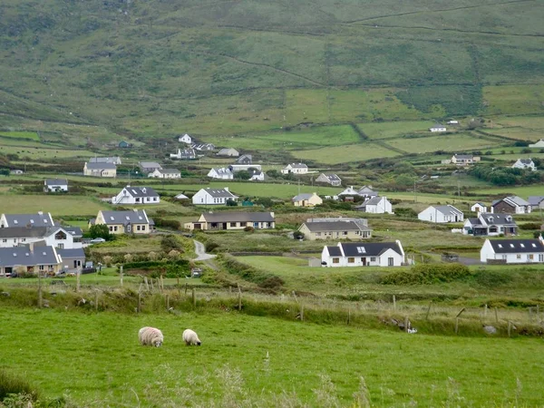 Vista Panorámica Del Paisaje Casas Granjas Hermoso Entorno Rural Irlanda — Foto de Stock