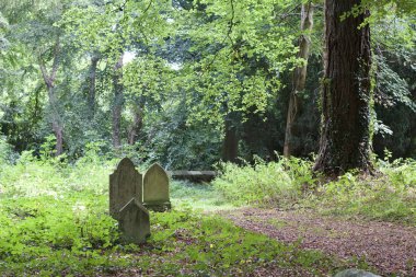 Küçük, cennet gibi bir Avrupa mezarlığındaki üç antik mezar işaretinin manzarası