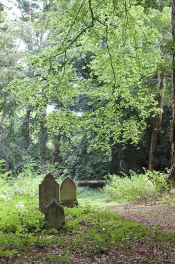 Küçük, cennet gibi bir Avrupa mezarlığındaki üç antik mezar işaretinin manzarası