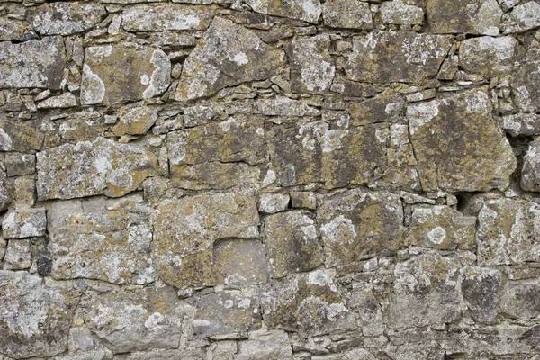 苔と地衣類と中世ヨーロッパの石の壁のテクスチャの背景のクローズアップ — ストック写真