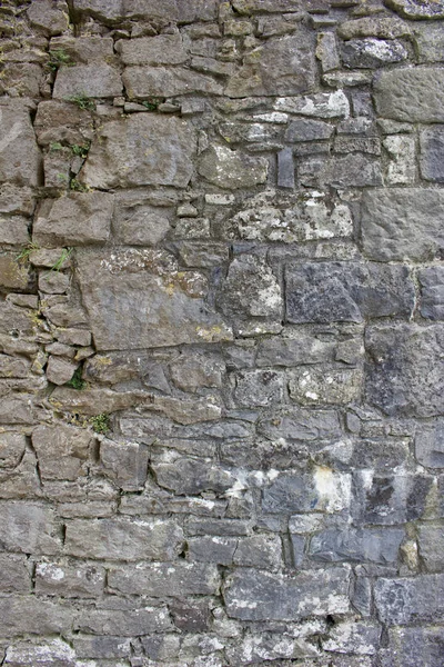 Close Medieval European Stone Wall Texture Background Mess Lichens — Stock fotografie