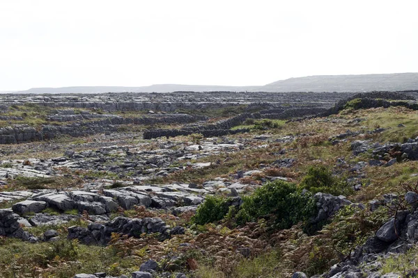 Paisaje Vista Del Terreno Kárstico Roca Del Suroeste Irlanda — Foto de Stock