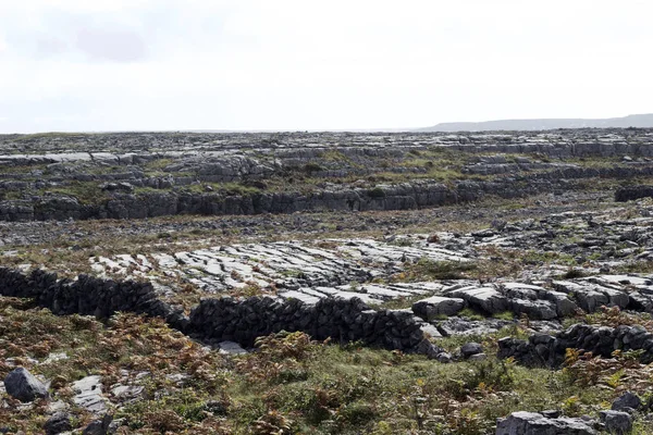 Paisaje Vista Del Terreno Kárstico Roca Del Suroeste Irlanda — Foto de Stock