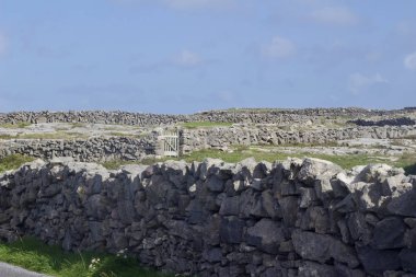 Aran Adaları 'nın engebeli arazisinin manzarası. Etrafı taştan bir duvar ve metal bir kapı ile çevrili.
