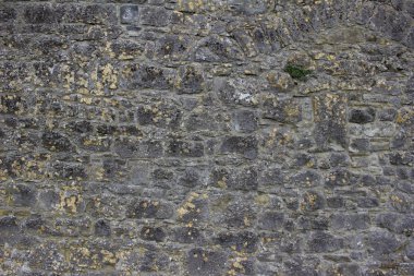 Yaşlanan bir ortaçağ taş duvarının soyut dokusu yosun ve liken içeren yıpranmış bir görünüme sahip.