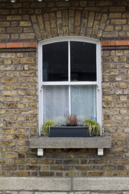 Çekici bir Avrupa penceresinin soyut görüntüsünü kapat çiçek kutusuyla, klasik bej rengi gri tuğla duvar dokusu arka planıyla çevrili