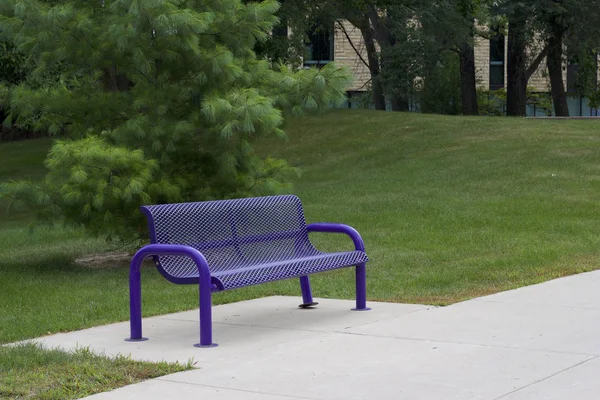 芝生の芝生の前の歩道にある現代的な紫色の公園ベンチの概要ビュー木 — ストック写真