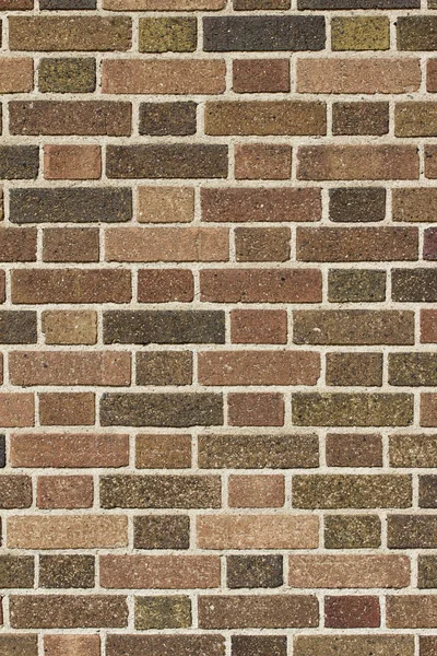 Multi Hued Brown Brick Wall Texture Background Flemish Bond Brickwork — Stock Photo, Image