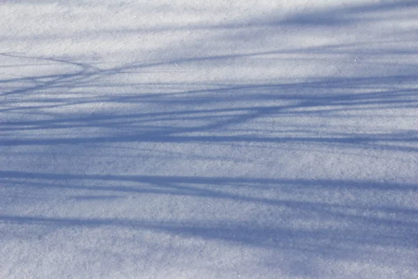 Fondo Textura Abstracta Terreno Cubierto Nieve Con Sombras Árboles — Foto de Stock