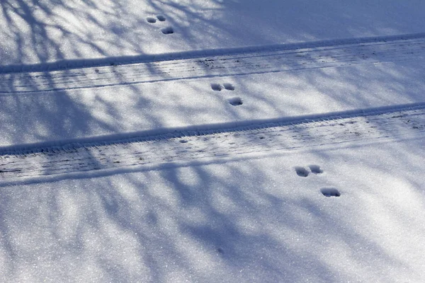 Abstract Texture Background Rabbit Tracks Tire Tracks Snow Covered Ground — Stockfoto