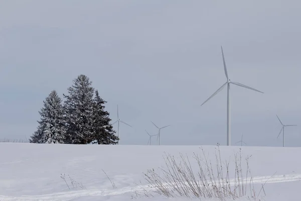 Landscape view of giant wind turbines in a snowy rural agricultural setting