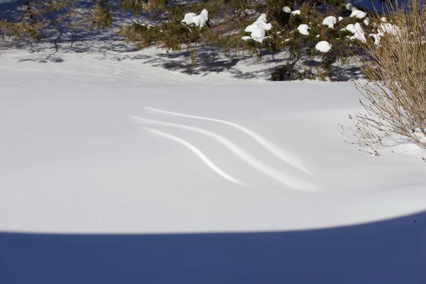 Abstrakte Textur Hintergrund Von Treibenden Designs Auf Einer Schneebedeckten Winterlichen — Stockfoto