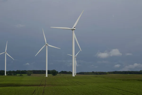 Landscape View Giant Wind Turbines Agricultural Field Trees Background Overcast — Stock Photo, Image