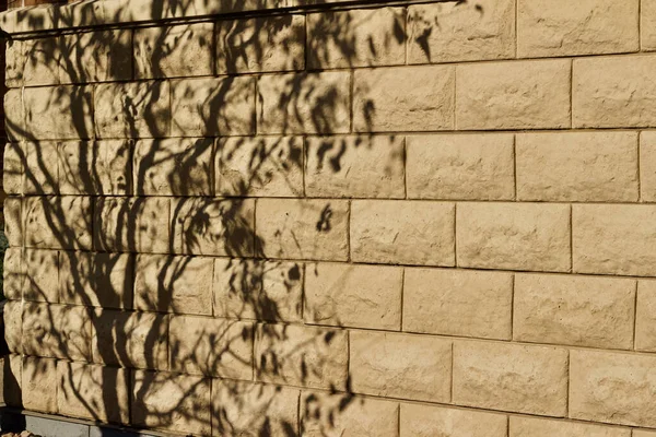 低い角度の日差しからキャスト魅力的な木の影とライトベージュの石ブロック壁のテクスチャの背景 角度ビュー — ストック写真