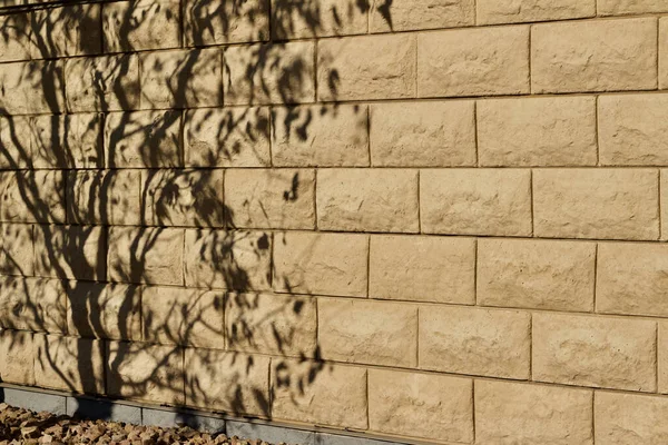 Luz Bege Pedra Bloco Parede Textura Fundo Com Atraente Árvore — Fotografia de Stock