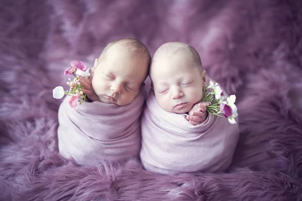 Newborn babies twins sisters together like potato or egg with flowers in hands