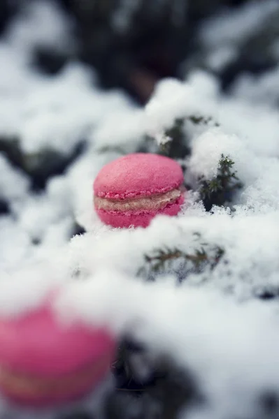 Donmuş kar arka planında ahududu kremalı ev yapımı Fransız usulü pembe badem kurabiyesi. Tatlı lezzetli kurabiye.