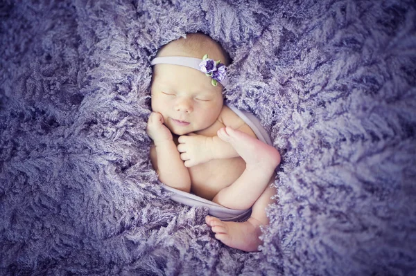 Новорожденная Девочка Фиолетовом Меховом Одеяле Заднем Плане Цветочной Ободкой — стоковое фото