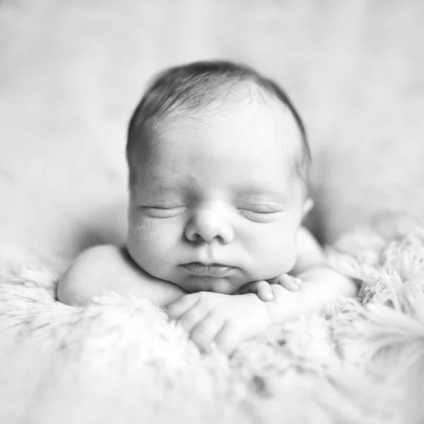 Bebelușul Nou Născut Sau Fetița Află Mâini Blană Doarme Dulce — Fotografie, imagine de stoc