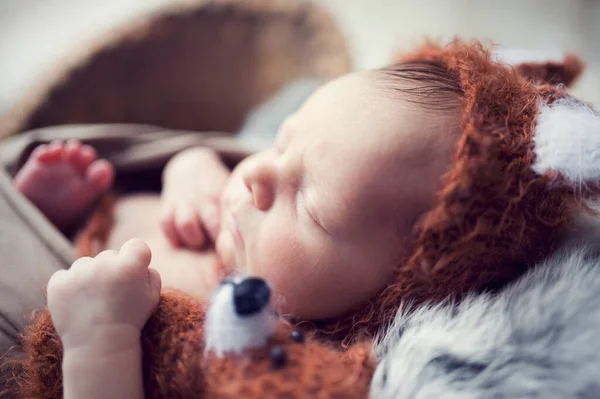 Yeni Doğmuş Erkek Bebek Gri Kürklü Tavşan Battaniyesine Sarılmış Tilki — Stok fotoğraf