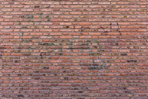 Textura Pared Ladrillo Color Rojo — Foto de Stock