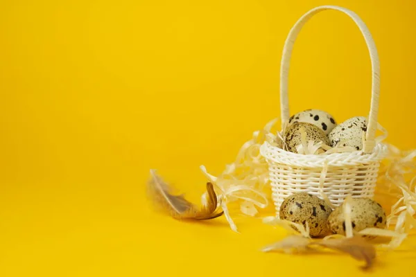 Cesta Mimbre Blanco Llena Paja Huevos Codorniz Plumas Sobre Fondo — Foto de Stock