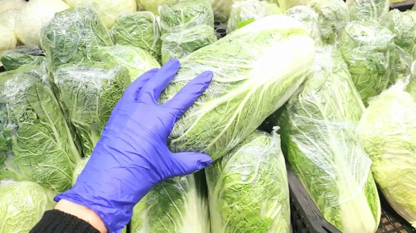 Hand in a blue medical glove holds green Beijing cabbage packed in food cellophane in a quarantine store during the coronavirus epidemic,COVID-19. — Stock Image Hand Blue Medical Glove Holds Green Beijing Cabbage Packed Food Stock Photo