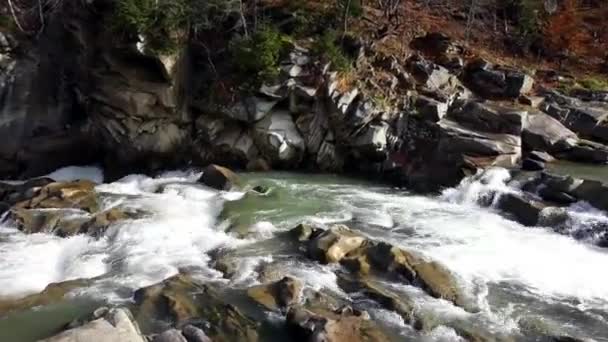 Güzel Kabarcıklar Hızlı Nehir Prut Ekim 2018 Batı Ukrayna Karpatlar — Stok video