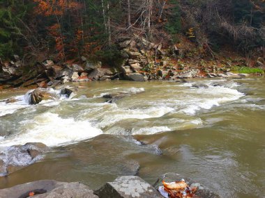 Güzel kabarcıklar, hızlı nehir Prut. 27 Ekim 2018 'de Batı Ukrayna, Karpatlar' da Yaremche şehrinin kayalık kıyıları arasında.