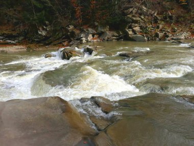 Güzel kabarcıklar, hızlı nehir Prut. 27 Ekim 2018 'de Batı Ukrayna, Karpatlar' da Yaremche şehrinin kayalık kıyıları arasında.