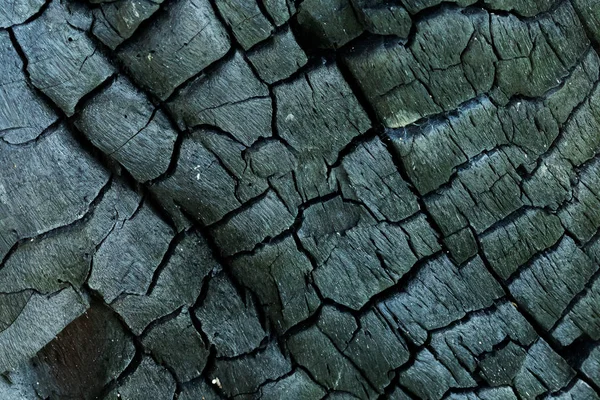 Burnt old wood texture. Details on the surface of charcoal. Old — Stock Photo, Image