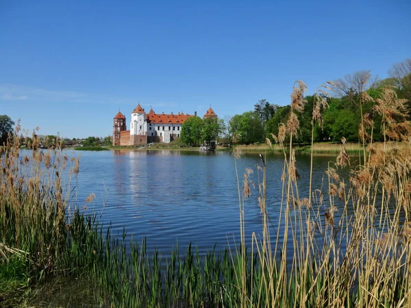 Landschap Met Een Prachtig Middeleeuws Kasteel Stad Mir Belarus Rode — Stockfoto