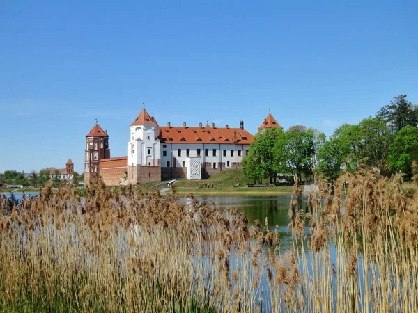 Landschap Met Een Prachtig Middeleeuws Kasteel Stad Mir Belarus Rode — Stockfoto