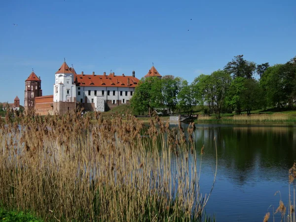 Landschap Met Een Prachtig Middeleeuws Kasteel Stad Mir Belarus Rode — Stockfoto