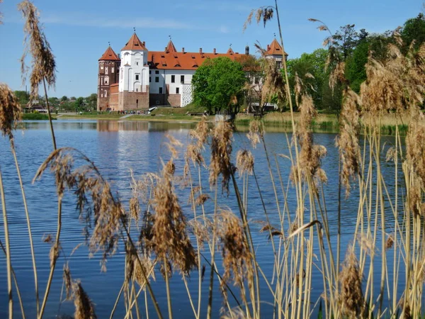 Landschap Met Een Prachtig Middeleeuws Kasteel Stad Mir Belarus Rode — Stockfoto